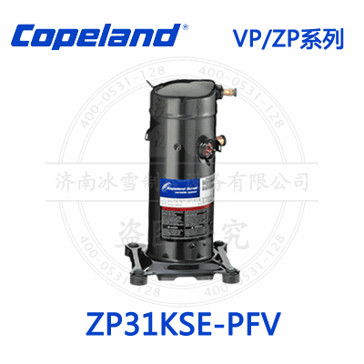 ZP31KSE-PFV